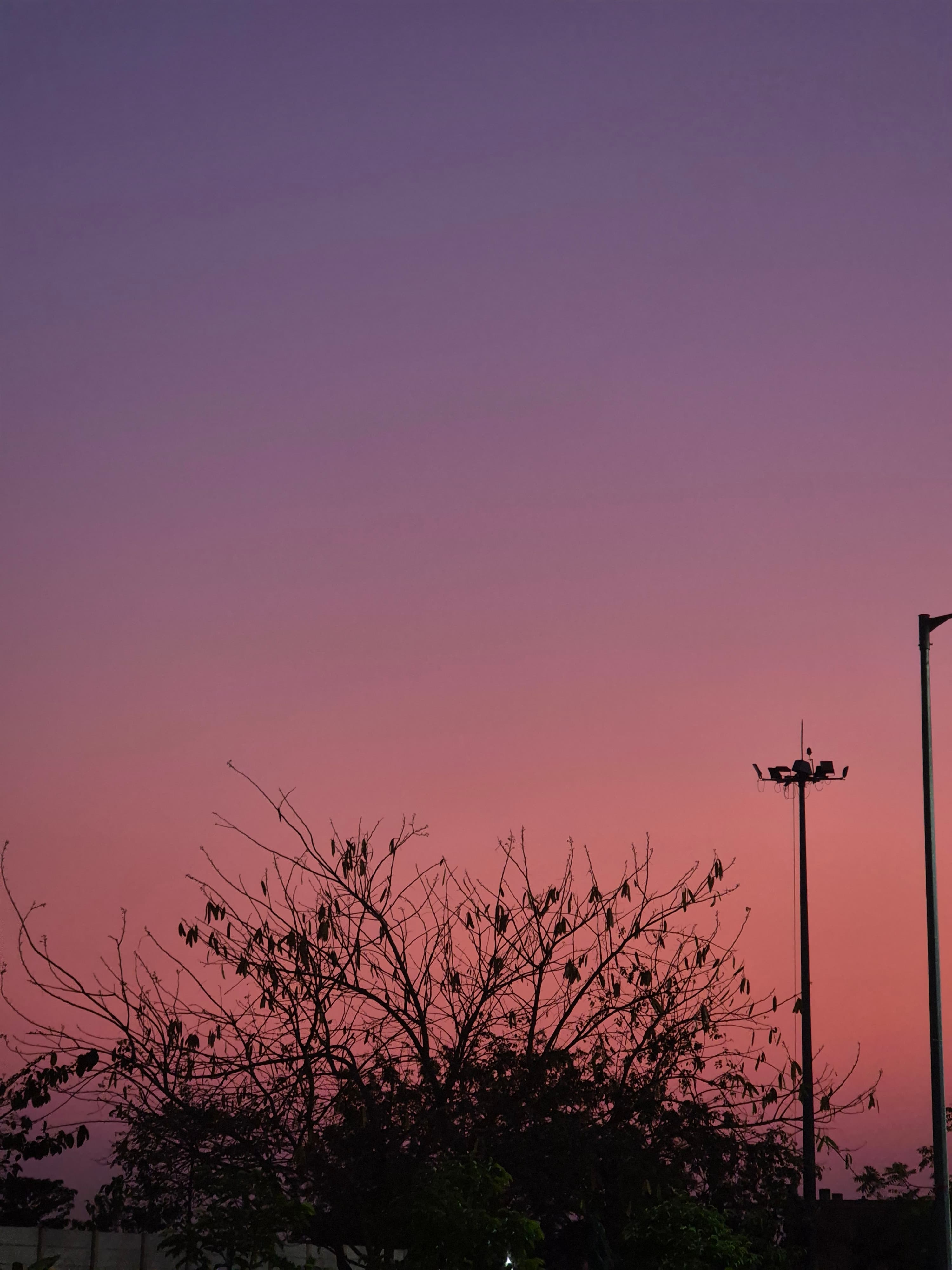 Sunset Sky