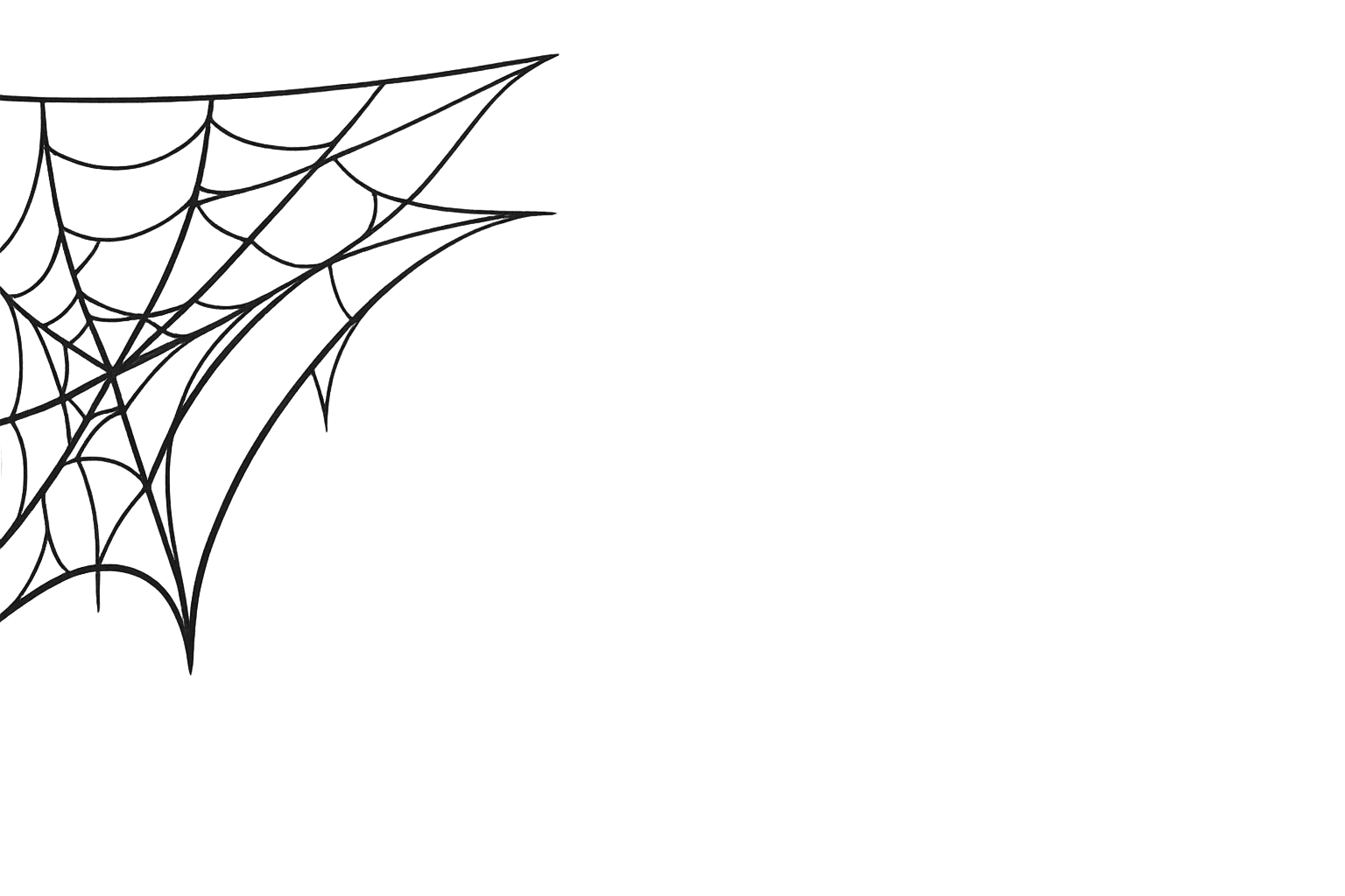 Spider Web About Art